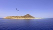 Zabargad Island
