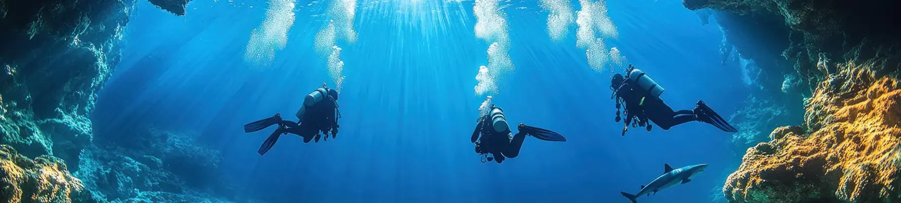 Dive Center Banner
